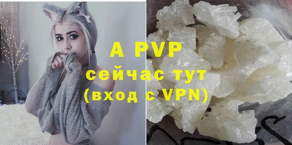 Альфа ПВП Арсеньев