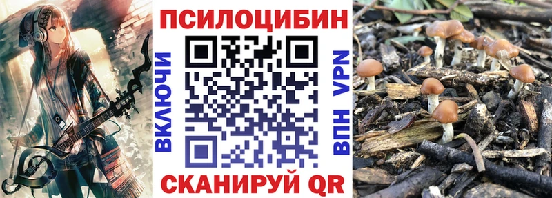 где продают   Безенчук  маркетплейс состав  Псилоцибиновые грибы ЛСД 